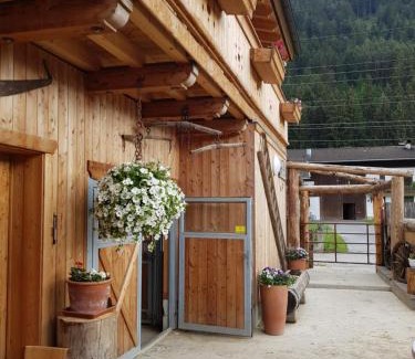 Silz Lit Et Petit-Déjeuner | B&B Margit's Ranch Urlaub am Pferdehof