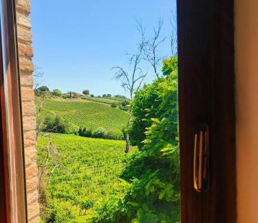Castelplanio Lit Et Petit-Déjeuner | B&B Nel Vigneto