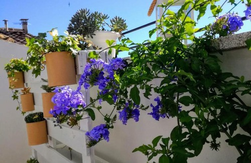 Civitanova Alta Lit Et Petit-Déjeuner | B&B Porta Girone