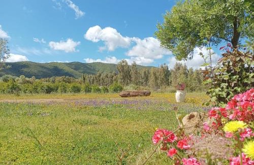 Villamassargia Appartement | B&B Sensorial Experience