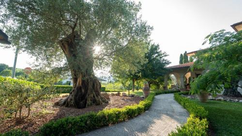 Fermignano Lit Et Petit-Déjeuner | B&B Ulivo del Duca