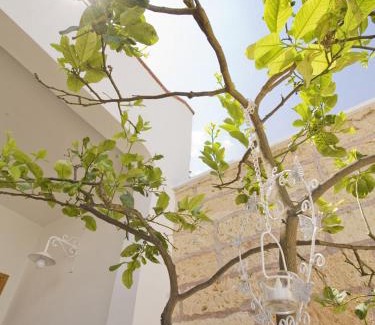 Campi Salentina Lit Et Petit-Déjeuner | B&B Virò