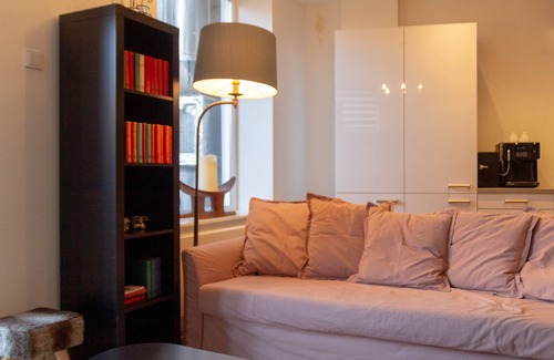 Centrum Appartement | B Cozy Lofts Haarlem