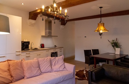 Centrum Appartement | B Cozy Lofts Haarlem
