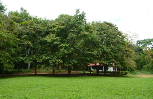 Phrao Cabine | Baan Korbsuk Teak Cabins 3-4