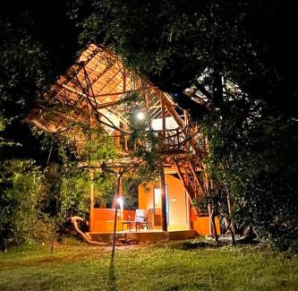 Dambulla Cabine | Back of Beyond - Wild Haven