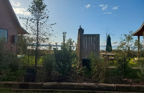 Whakamarama Cabine | Back to Basics in a 5 star location