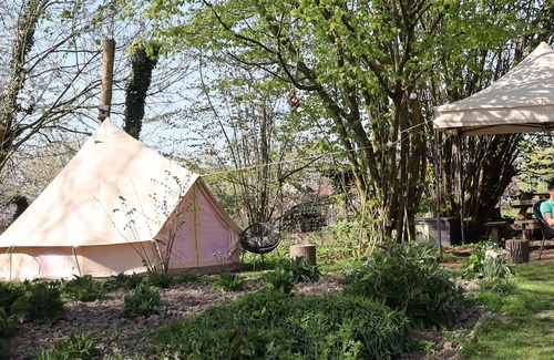 Sint-Antelinks Location De VR | Back-to-Nature - Glamping Zonnebloem Une expérience de retour aux sources