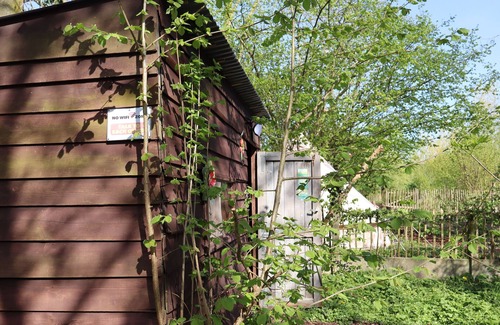 Sint-Antelinks Location De VR | Back-to-Nature - Glamping Zonnebloem Une expérience de retour aux sources