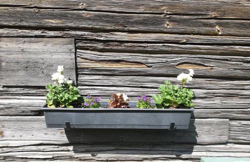 Tallberg Appartement | Backhansgården I Plintsberg