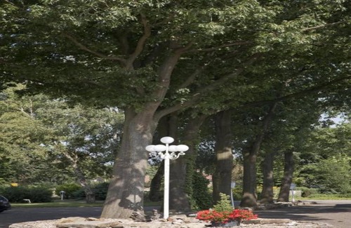 Ferienpark Gut Langen Villa | Villa confortable près de Bad Bentheim