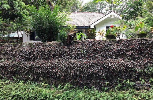 Welivitiya-Divithura Maison | Villa de style colonial de Baddegama près de la plage de Hikkaduwa