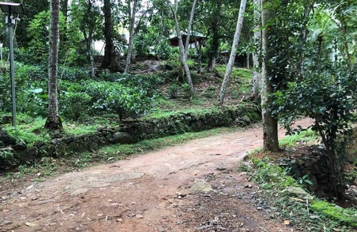 Welivitiya-Divithura Maison | Villa de style colonial de Baddegama près de la plage de Hikkaduwa