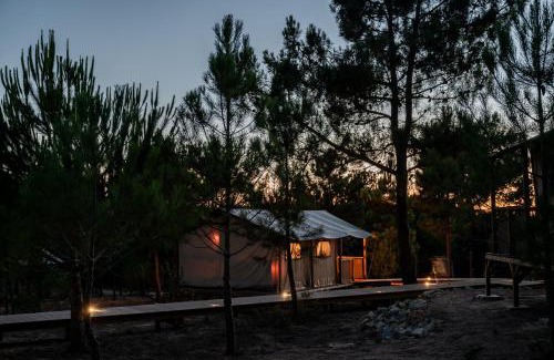 Santo Andre Autre | Badoca Safari Glamping Experience