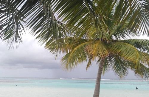 Kaashidhoo Maison | Bahari Lodge, K.Kaashidhoo