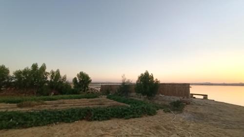Siwa Autre | Bahi Aldeen Camp