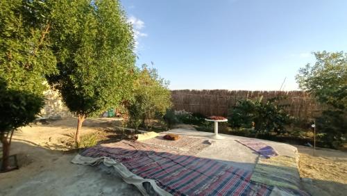 Siwa Autre | Bahi Aldeen Camp