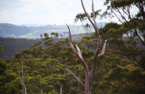Forest Land Autre | Bajimba Eco Camp & and Farm Stay