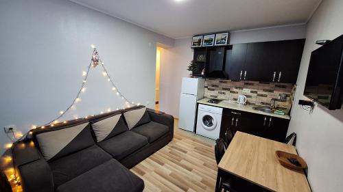 Bakuriani Appartement | Bakuriani Villa Monte