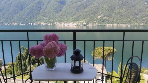 Nesso Appartement | Balcone dei Limoni