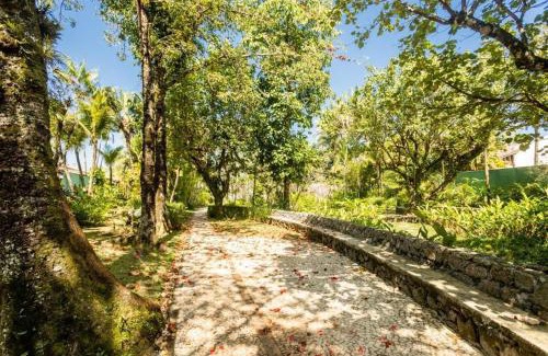 Baleia Maison | Baleia Marinha
