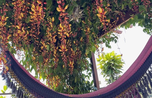 Mercedes Maison | Bali-Home w / Best View, Privacy, Pool, Wifi, BBQ, near Beach / Waterfall / Ziplng, et