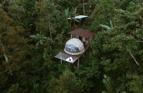 Pupuan Station Balnéaire | Bali Jungle Camping by Amerta Experience