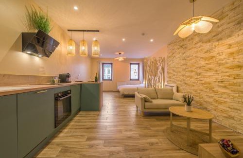 Chambery Appartement | Bali Room Apartment et Spa Chambéry