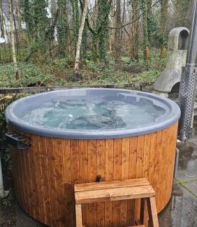 Velsen-Zuid Maison | Balistyle guesthouse incl Hottub near Amsterdam and Haarlem