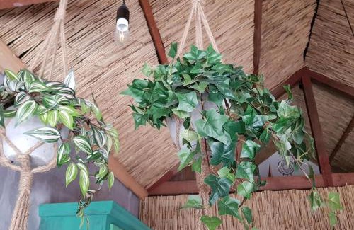 Velsen-Zuid Maison | Balistyle guesthouse incl Hottub near Amsterdam and Haarlem