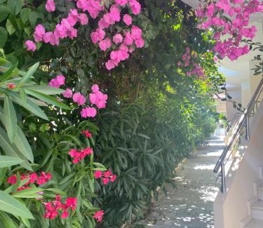 Galatas Appartement | Balito
