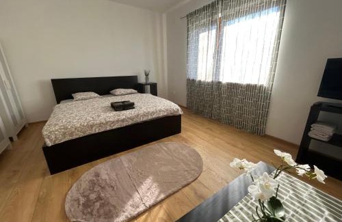Dunajska Streda Appartement | BALU CITY APARTMeNT