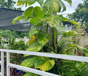 Binalonan Maison | Bamboo Orange Cabana and Studio