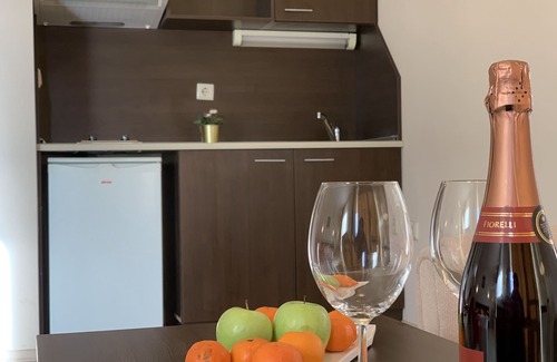 Shiligarnika Appartement | Banderitsa Apartment 1