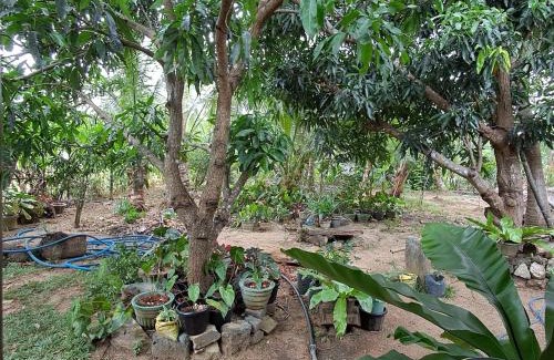 Sigiriya Maison | Bandula Home Stay