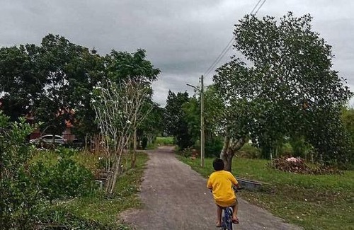 Suan Phueng Station Balnéaire | Bankhu Homestay บ้านคู่โฮมสเตย์