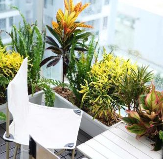 Hue Appartement | Bao Han Nera 2