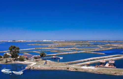 Aveiro Location De Bateaux | Barcos Casa OstrAveiro