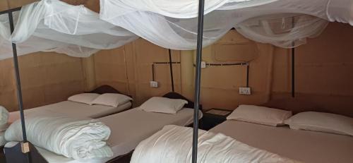 Bardia Auberge | Bardia hostel