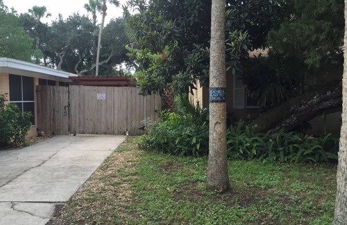 New Smyrna Beach Maison | Bearfoot Beach Bungalow! Marcher à la plage, la rivière, intercoastal, et Flagler Ave