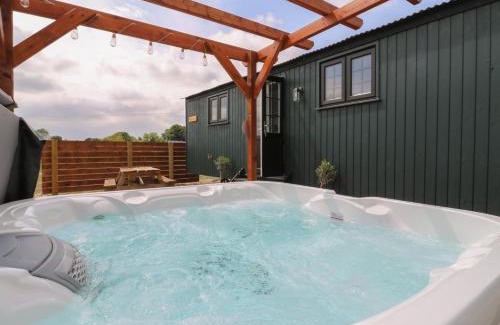 Cambridge Maison | Barn Owl