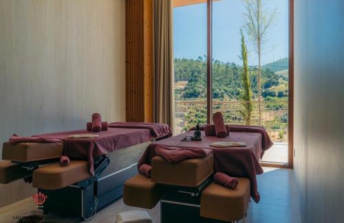 Armamar Hôtel | Barrilario Douro Wine Hotel e Spa - Quinta São Jose do Barrilario