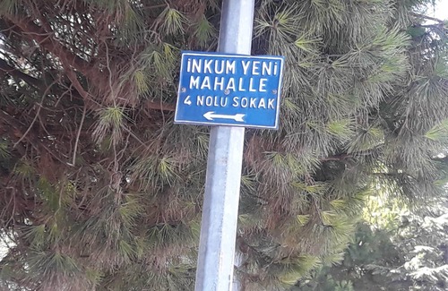 Bartin Appartement | Bartın İnkumu Sahilinde Geniş Ev