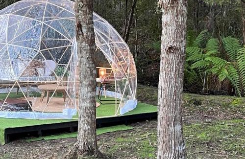 Alonnah Autre | Base Glamp Bruny - Heated Tents for 8 People