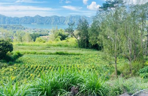 Toya Bungkah Maison | Batur Exotic Villa