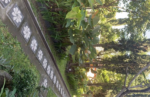 Toya Bungkah Maison | Batur Sunrise Guesthouse ~ Chambre Familiale Vue Jardin