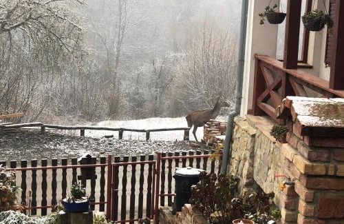 Puspokszentlaszlo Maison | Bauer Vendégház Püspökszentlászló