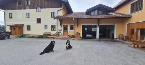 Koppl Appartement | Bauernhof-Loft Edtgut