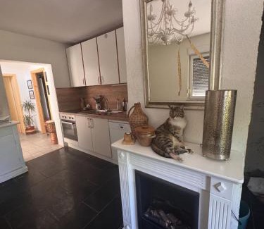 Berka/Werra Appartement | Bauernhof Privatzimmer Hortus Sandrine Gemeinschaftsbad Free WiFi