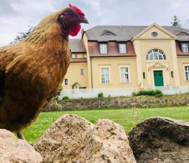 Niemegk Appartement | #Bauernhofvilla nur für Frauen